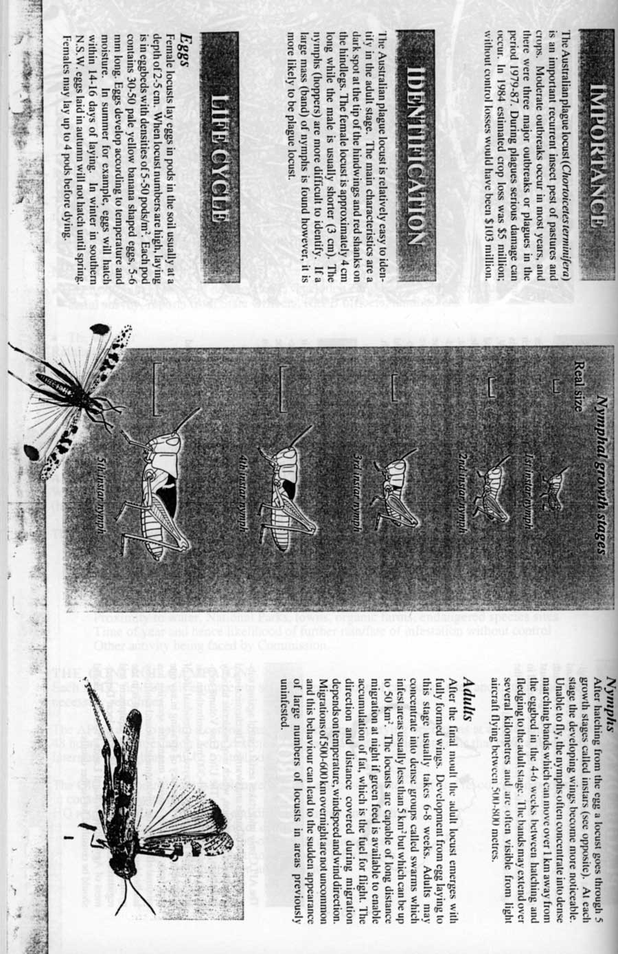 1995 Page 089